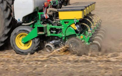 Zuckerrübenvergleich 2022